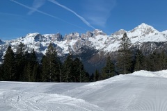 IMG_6703