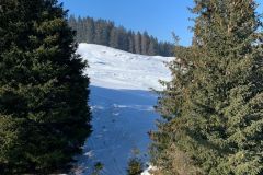 IMG-20230820-WA0157