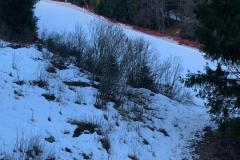 IMG-20230820-WA0227
