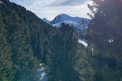 C26E4545-DD01-4C7D-8D63-6F61C79033E0-1